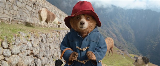 Paddington in Peru - Photo Gallery