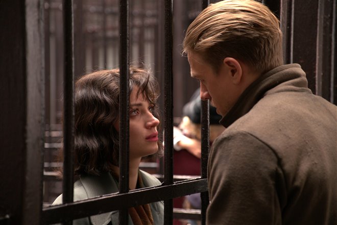 Papillon - Photo Gallery