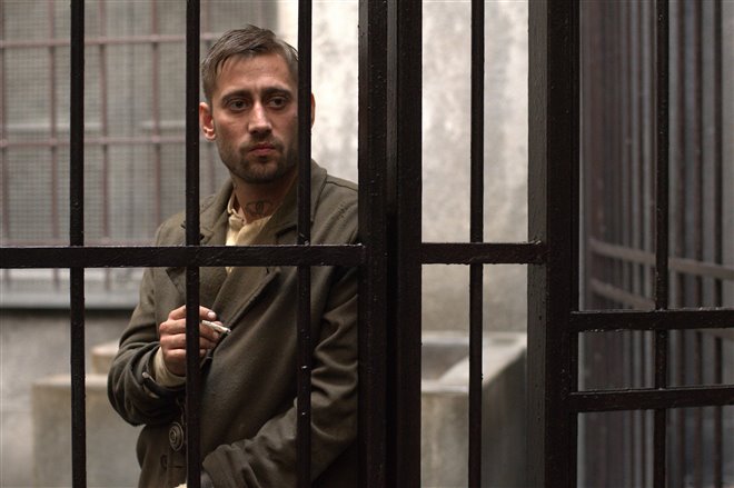 Papillon - Photo Gallery