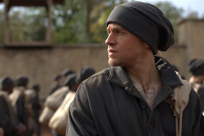 Papillon - Photo Gallery