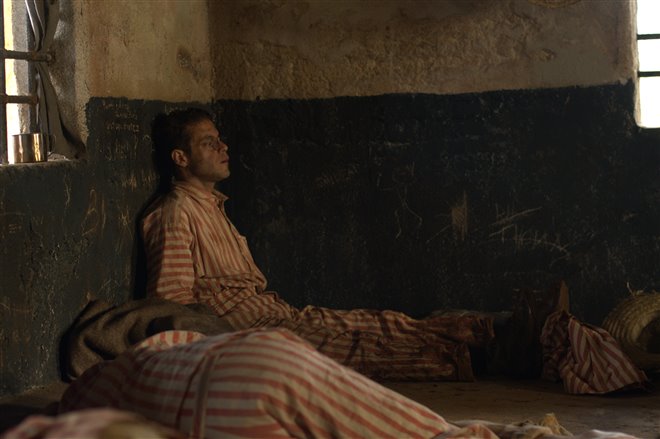 Papillon - Photo Gallery