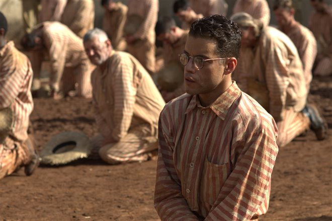 Papillon - Photo Gallery