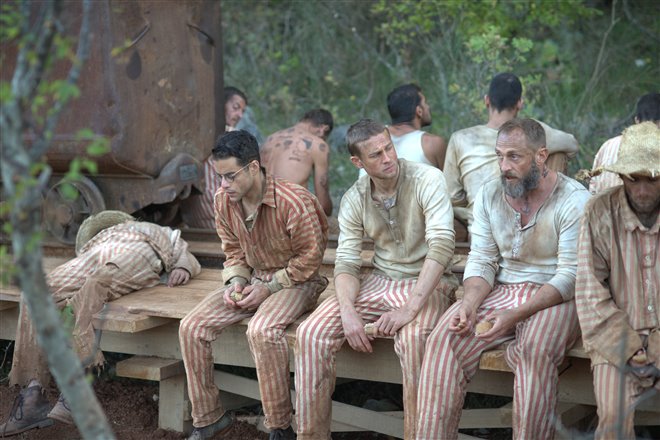 Papillon - Photo Gallery