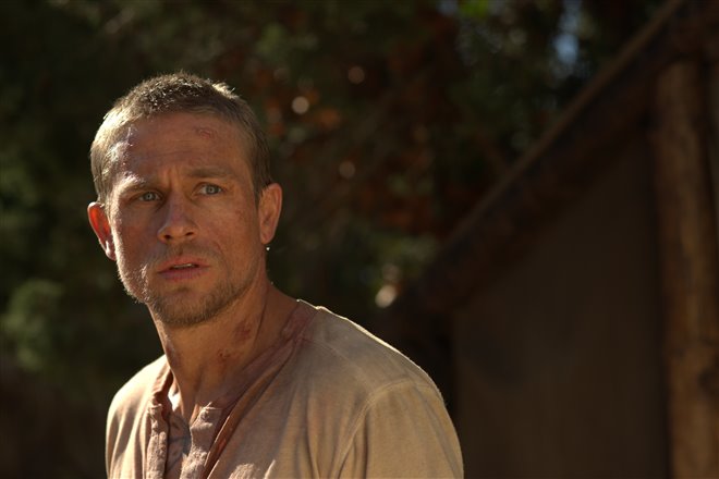 Papillon - Photo Gallery