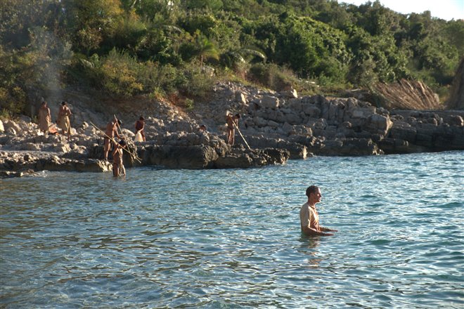 Papillon - Photo Gallery