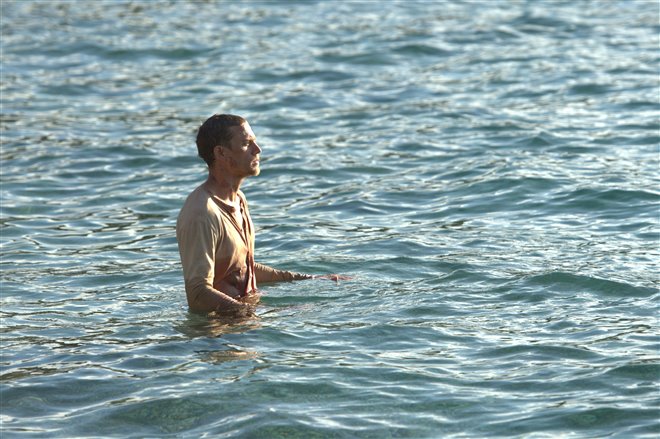 Papillon - Photo Gallery