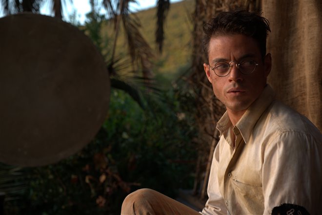 Papillon - Photo Gallery