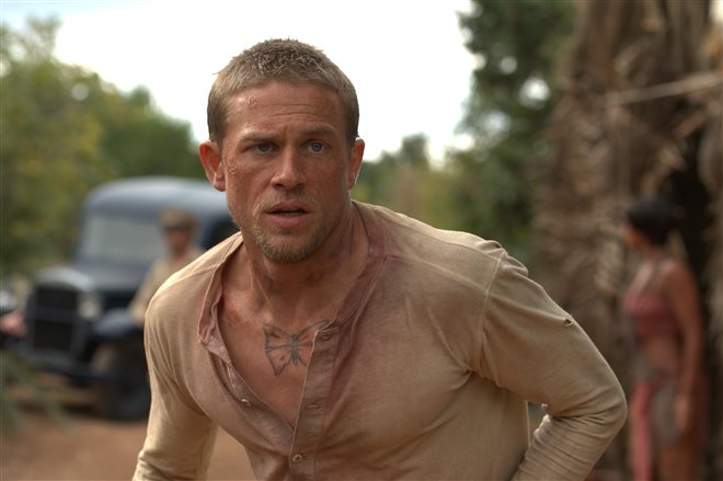 Papillon - Photo Gallery