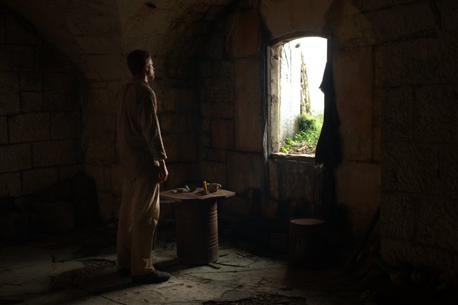 Papillon - Photo Gallery