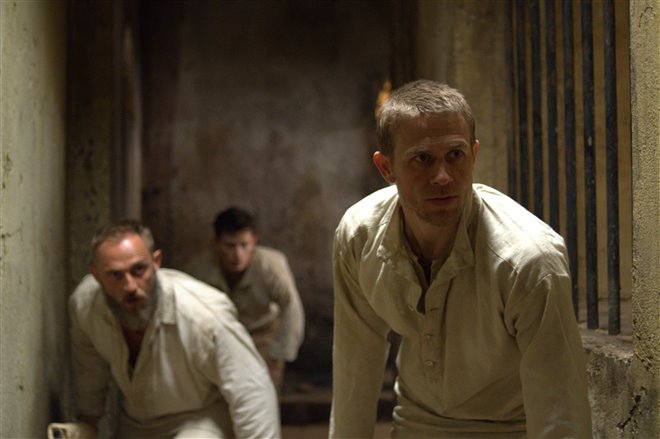 Papillon - Photo Gallery