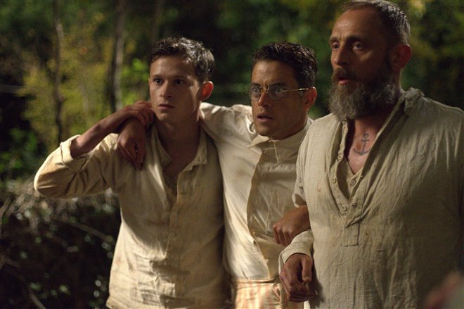 Papillon - Photo Gallery