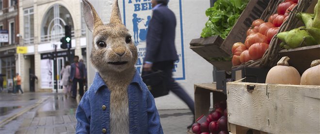Peter Rabbit 2: The Runaway - Photo Gallery