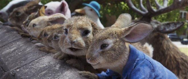 Peter Rabbit 2: The Runaway - Photo Gallery