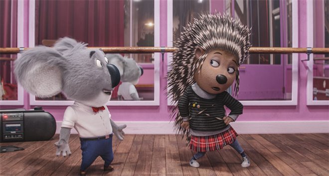 Sing - Photo Gallery