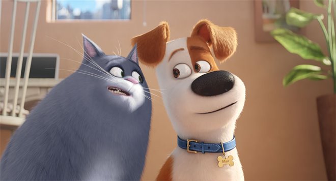 The Secret Life of Pets - Photo Gallery
