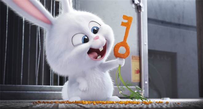 The Secret Life of Pets - Photo Gallery