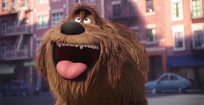 The Secret Life of Pets - Photo Gallery