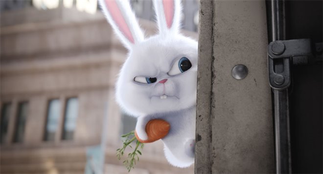 The Secret Life of Pets - Photo Gallery