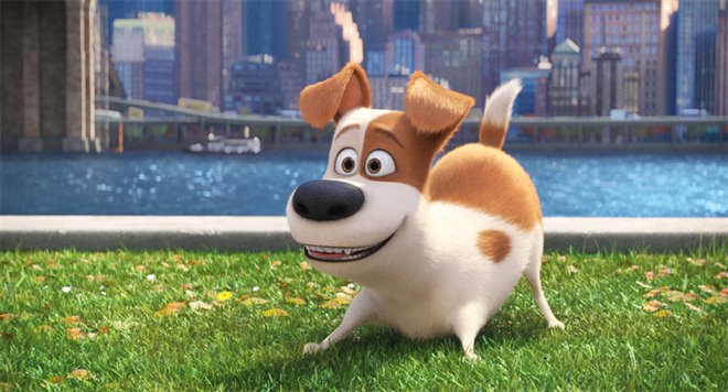 The Secret Life of Pets - Photo Gallery