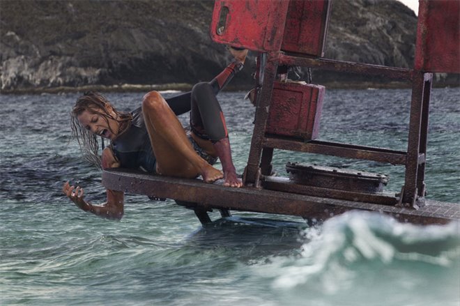 The Shallows - Photo Gallery