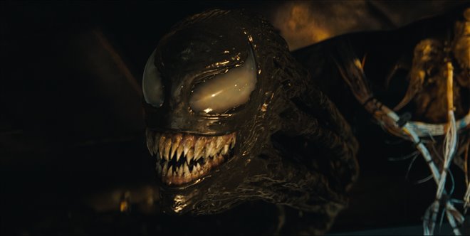 Venom: The Last Dance - Photo Gallery