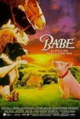 Babe Movie Poster