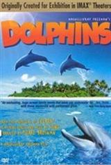 Dolphins Movie Poster