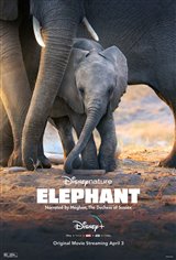 Elephant (Disney+) Movie Poster