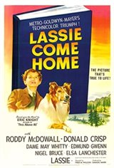 Lassie Come Home Movie Poster