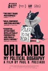 Orlando, My Political Biography Poster