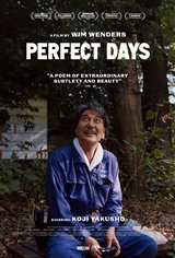 Perfect Days Poster