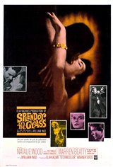 Splendor in the Grass Movie Poster