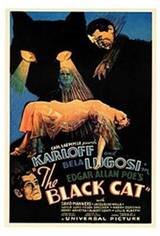 The Black Cat Movie Poster