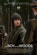 The Boy in the Woods Poster