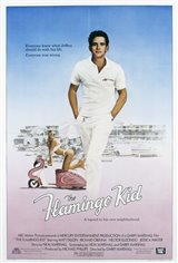 The Flamingo Kid Movie Poster