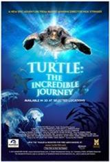 Turtle: The Incredible Journey Movie Poster