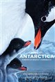 Antarctica Movie Poster