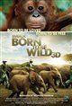 Born to Be Wild 3D Movie Poster