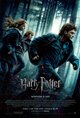 Harry Potter and the Deathly Hallows: Part 1 Movie Poster