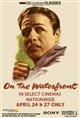 TCM Presents On the Waterfront (1954) Movie Poster