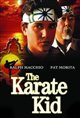 The Karate Kid Movie Poster