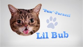 Nine Lives featurette "Celebrity Cats"