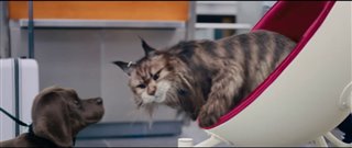 CHIEN ET CHAT - bande-annonce