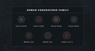 CORONAVIRUS, EXPLAINED Trailer