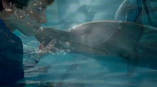 Dolphin Tale 2