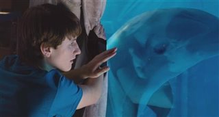 Dolphin Tale 2