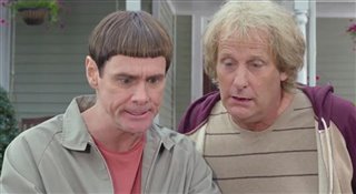 Dumb and Dumber To