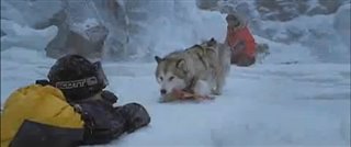 EIGHT BELOW