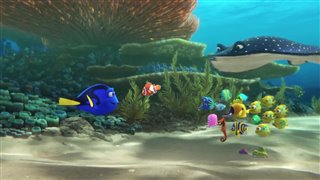 Finding Dory - Teaser