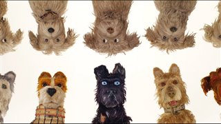 Isle of Dogs Movie Clip Okay - "It's Worth It"